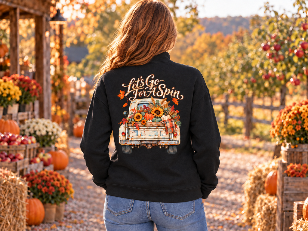 Let's Go for a Spin -  Wome's Quarater Zip Pullover Sweatshirt